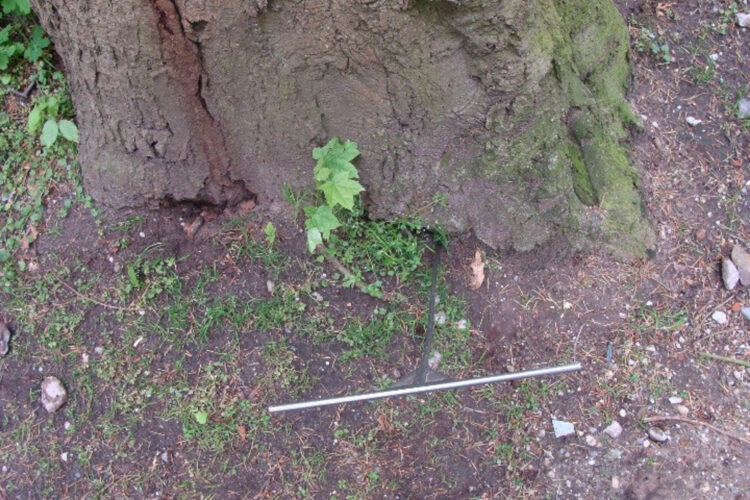 van-meeteren-groen-boomverzorging-21